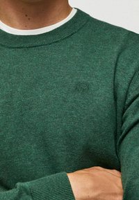 Groene gebreide trui met een ronde halslijn, geribde manchetten en zoom, met een subtiele borduring van het logo op de borst. Zachte textuur.