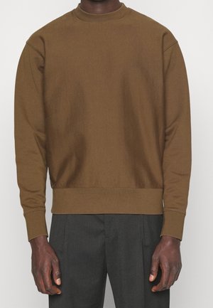 Osoba ubrana w brązową, długorękawową bluzę z okrągłym dekoltem i ciemnoszare spodnie, stojąca ze swobodnie opuszczonymi rękami.