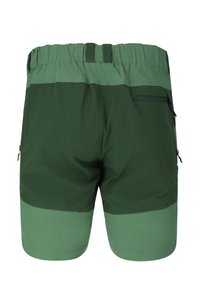 Tofarvet grønne shorts med elastisk taljebånd, bæltestropper og lynlåslommer bagpå og i siderne, vist bagfra.