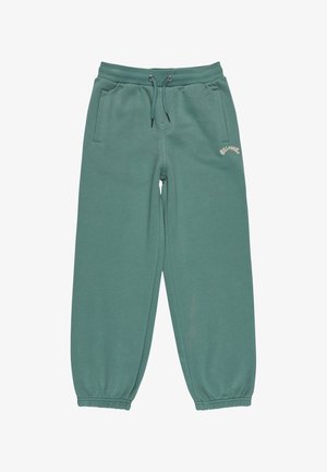 Zielone dresowe spodnie wykonane z mieszanki bawełny, z elastycznym pasem na sznurki, ściągaczami u dołu oraz bocznymi kieszeniami. Logo z przodu.