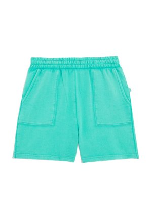 Turkosa sportshorts som är tillverkade av mjukt material, med resårmidja, två framfickor och en avslappnad design.