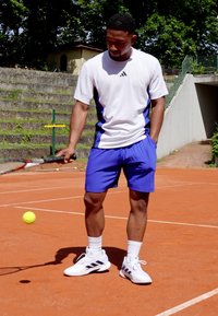 Atletische man in een wit en blauw T-shirt met korte mouwen en blauwe shorts, die een tennisracket vasthoudt op een gravelbaan met een gele bal in de buurt.