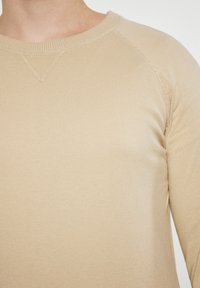 Beige Langarmhemd mit geripptem Rundhalsausschnitt und sichtbaren N�ähten an Schultern und Brustbereich.