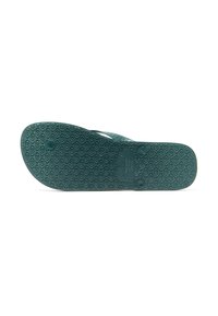 Brasileras CHANCLAS CLASSIC PRO M - Chanclas de dedo - military green