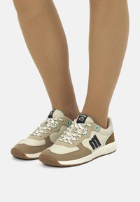 mtng Zapatillas - tan