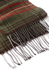 Sciarpa in lana a quadri verde con accenti rossi e beige. Presenta bordi con frange che combinano fili semplici e ritorti per creare texture.