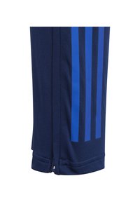 Gros plan sur une jambe de pantalon de sport bleu marine avec trois rayures verticales bleues et une petite fermeture éclair à l'ourlet.
