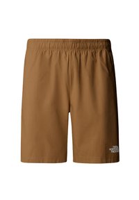 LIMESTONE - Shorts - utility brown