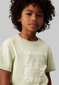 Calvin Klein Jeans MAXI HERO FLOCK LOGO - Apdrukāts T-krekls - celadon green