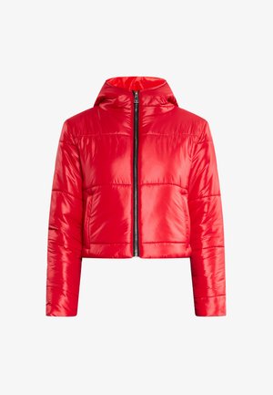 Raudona pūkinė striukė su gobtuvu, trumpa, užtrauktuko priekyje uždarymo ir lygi, blizgi tekstūra. Yra horizontalus siuvinėjimas ir šoninės kišenės.