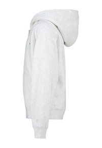 Gray zip-up hoodie with a solid texture, drawstring hood, ribbed cuffs, and deep front pockets. Subtle logo detail near the hem.