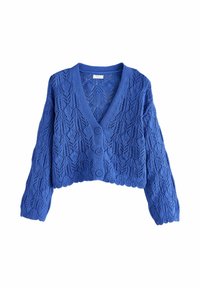 Afgemaakte blauwe cardigan van gebreide stof met een gestructureerd kantpatroon, knopen aan de voorkant en een diepe V-halslijn.