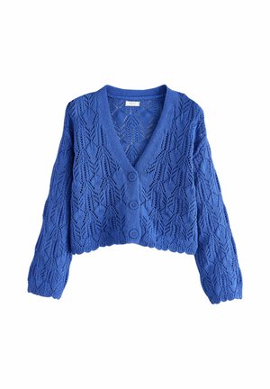 Kurze blaue Strickjacke aus einem gestrickten Stoff mit einem strukturierten Spitzenmuster, vorderen Knöpfen und einem tiefen V-Ausschnitt.