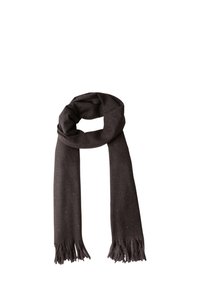 Lys grå scarf i blød uld med frynser og subtile glitrende accenter, lavet af et varmt materiale, med et simpelt, forlænget design.