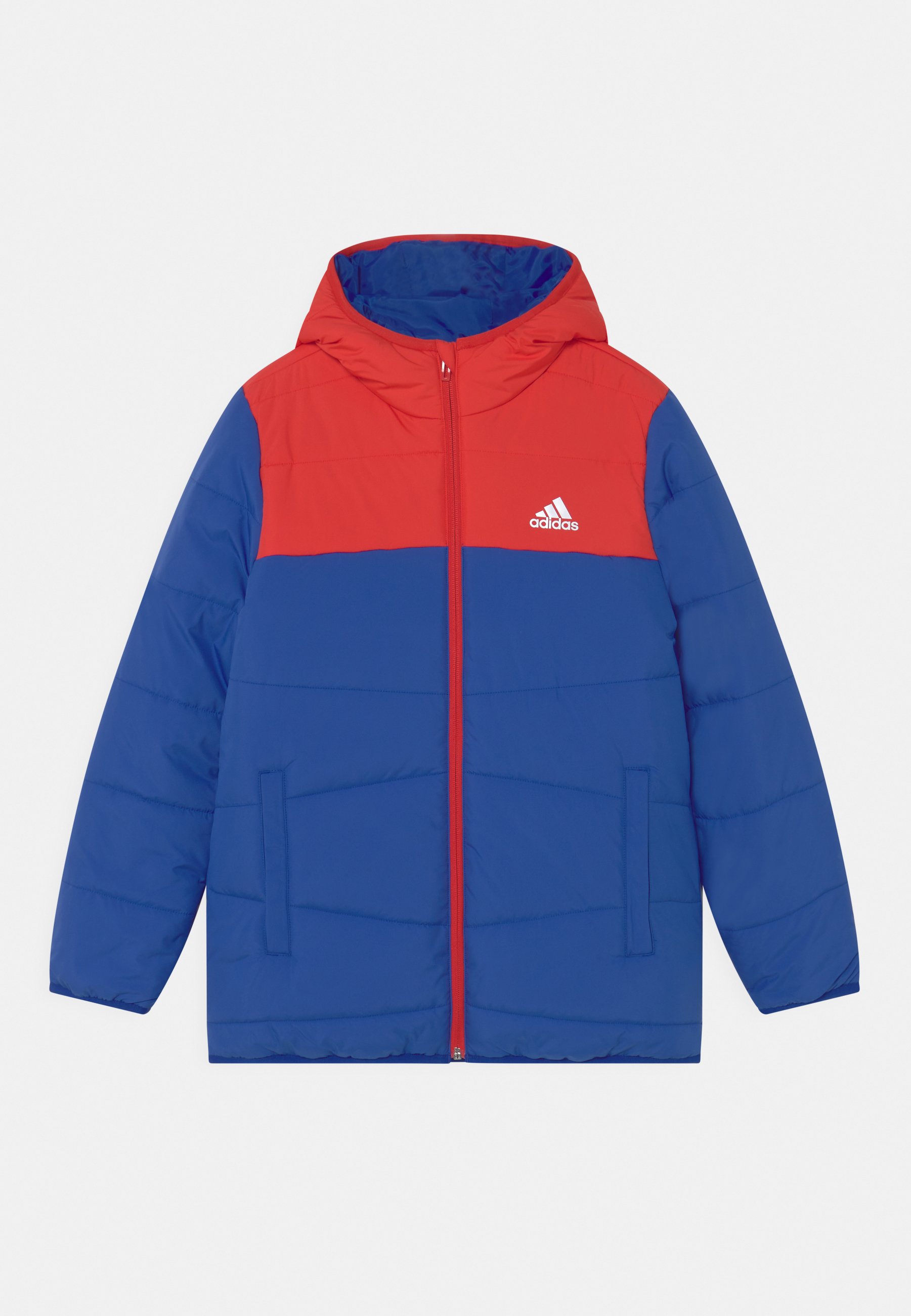 adidas Performance Winterjas - blue/blauw - Zalando.nl
