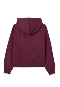 Hoodie corto color marrone con cappuccio regolabile, polsini e vita a costine. Texture liscia, colore solido, senza motivi o accenti.