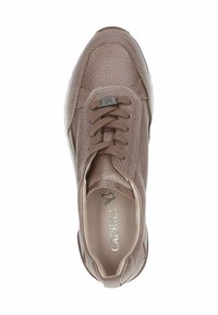 Caprice SNEAKER - Baskets basses - titan deer