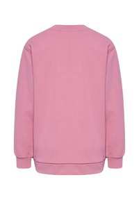 Rosa Sweatshirt mit rundem Ausschnitt, langen Ärmeln und gerippten Bündchen. Weicher Stoff mit glatter Textur, ohne sichtbare Muster oder Details.