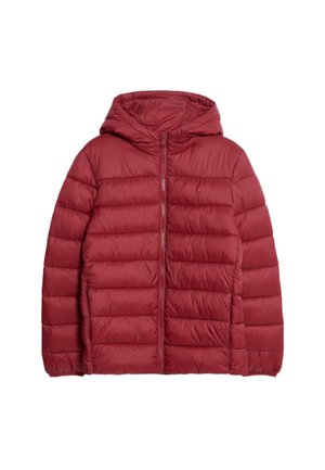 PADDED OUTERWEAR - Winter jacket - red