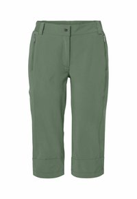 Grüne knielange Shorts aus leichtem Material, mit Reißverschlusstaschen vorne und einem einzigen Knopfverschluss vorne. Glatte Textur, schlichtes Design.