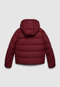 Giacca imbottita bordeaux con trapuntatura orizzontale e cappuccio integrato, mostrata da dietro su uno sfondo grigio chiaro uniforme.