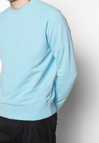 Sudadera azul claro con cuello redondo, puños y dobladillo acanalados, confeccionada con un suave algodón. Presenta un detalle sutil de logotipo.