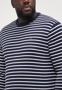 Maglione a righe navy e bianche lavorato a maglia con scollatura a girocollo e polsini a coste, dotato di un piccolo logo sul lato sinistro del petto. Tessuto morbido.