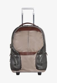 Non selezionato, brown