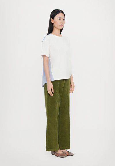 Wit en blauw gestreept kleurgeblokkeerd t-shirt, groene corduroy wijde broek, en meerkleurige gestreepte instap schoenen. Glad textuur overal.