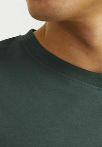 Jack & Jones JORVESTERBRO PICTURE CREW NECK - Apdrukāts T-krekls - forest river