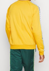 Uomo che indossa una felpa gialla con strisce bianche sul maniche e pantaloni da jogging verde scuro con piping giallo e strisce con logo.