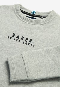Baker by Ted Baker OVERHEAD - Felpa - grey