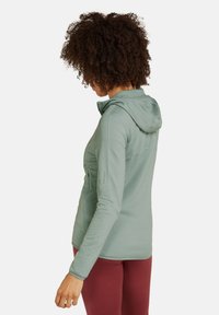 icebreaker ELEMENTAL - Fleece jacket - green