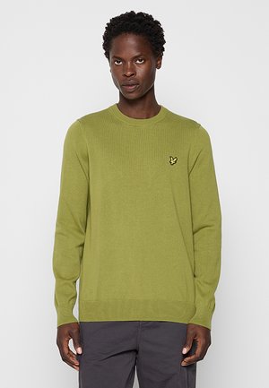 Man met kort krullend haar, gekleed in een lichtgroene lange-mouwen trui en een donkere broek, staand tegen een effen lichte achtergrond.