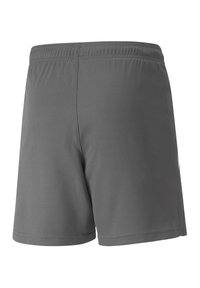 Puma TEAMLIGA  - Korte broeken - grauweiss