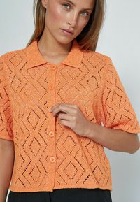 Desires ELSA - Overhemdblouse -  russet orange