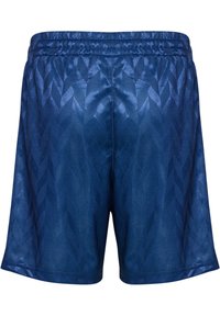 Blå sportshorts med ett strukturerat geometriskt mönster. Tillverkade av ett glatt, glänsande material, med en elastisk midja och lös passform.