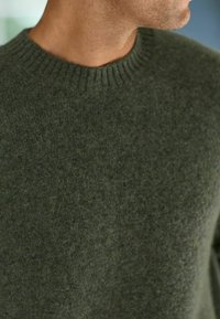 Pull en laine vert avec un col rond côtelé, présentant une texture douce et une coupe ajustée, arborant une couleur terne et terreuse.