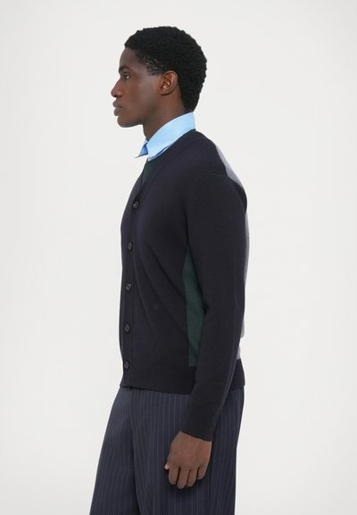 Cardigan bleumarin cu închidere cu nasturi, croială structurată și panouri laterale contrastante verzi și gri. Purtați peste o cămașă cu guler bleu deschis.