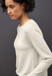 Hellgrauer Langarmpullover mit rundem Ausschnitt, weicher Textur, taillierter Silhouette und dezenten Nahtdetails.