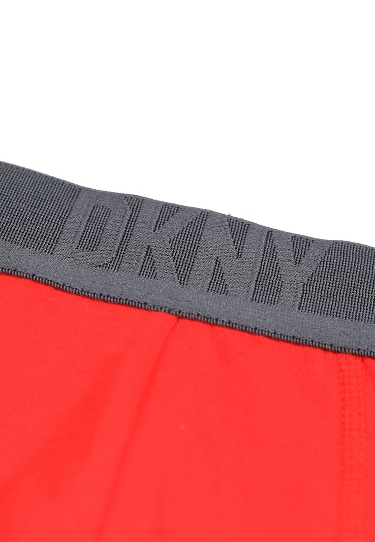 Czerwone majtki z szarym elastycznym pasem, na którym znajduje się podniesione logo DKNY. Materiał wygląda na gładki z delikatnym streczem.