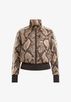 SATIN SNAKE PRINT FIREBIRD TRACK - Тренировъчно яке - linen/magic beige