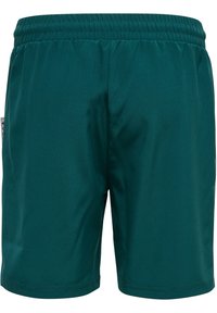 Mörkgröna sportshorts med elastisk midja, gjorda av ett mjukt material, med en enkel och ren design utan några ytterligare mönster.