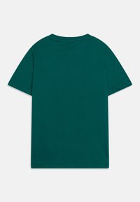 Green, short-sleeved t-shirt made of cotton. Features a round neckline and a smooth, even texture. No visible patterns or accents.