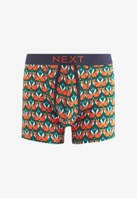 Next 4 PACK - Boxer alsónadrág - rich woodland animal