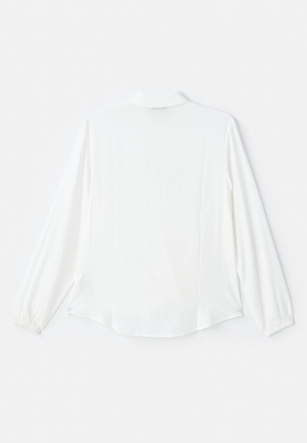 ADAPTIVE SHIRT - Button-down blouse3