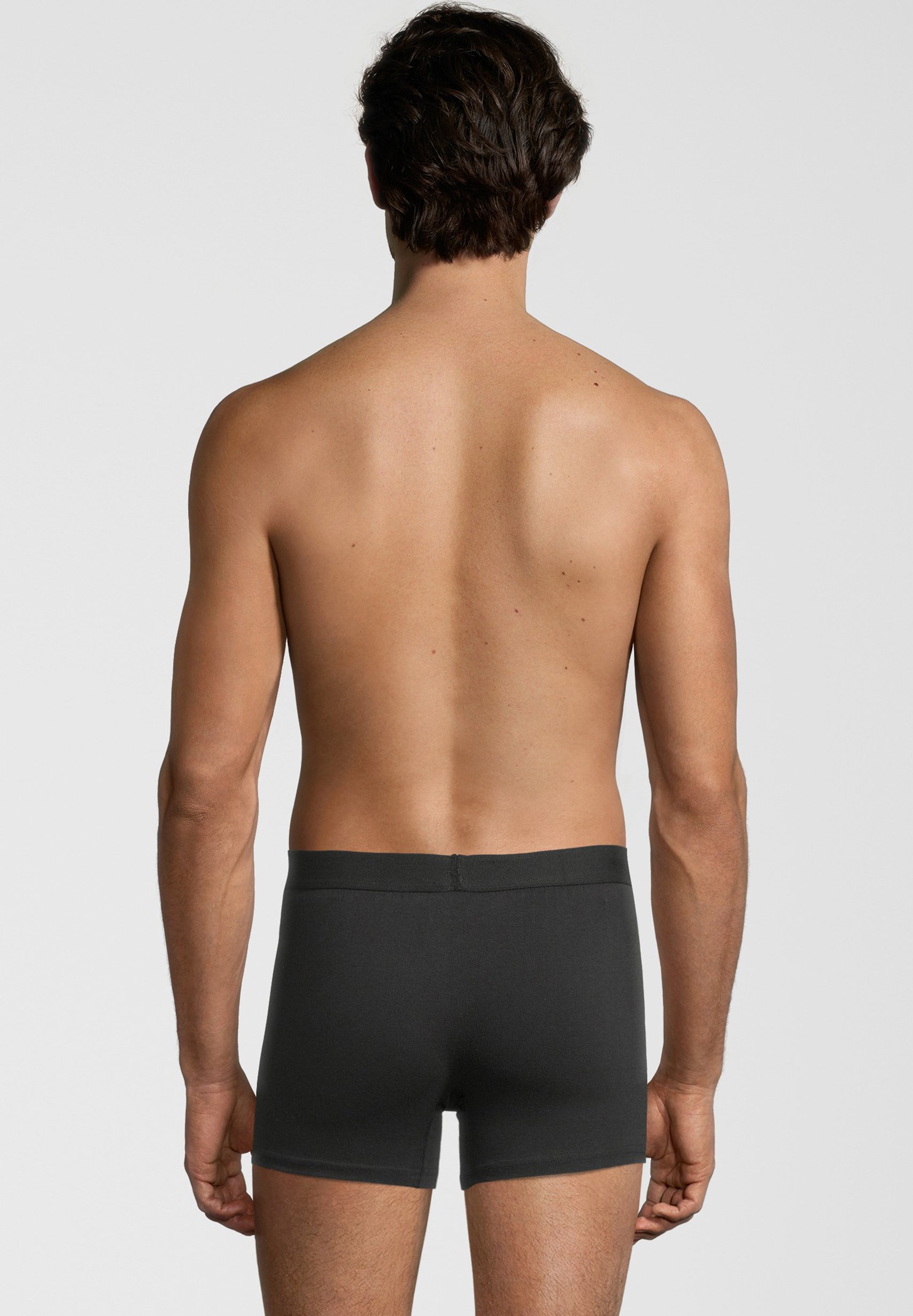 Albert Schäfer 10ER PACK BOXERSHORTS - Boxershort - schwarz/Zwart -  Zalando.nl
