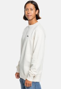 Quiksilver LANGÄRMLIGER - Sweatshirt - birch
