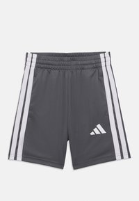 Pantalones cortos deportivos grises hechos de una tela suave. Cuentan con una cinturilla elástica, rayas blancas a los lados y un logo blanco en la parte delantera.