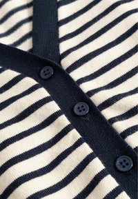 Nahaufnahme eines cremefarbenen Stoffs mit schwarzen horizontalen Streifen und einem schwarzen, mit vier dunklen Knöpfen verzierten Besatz.